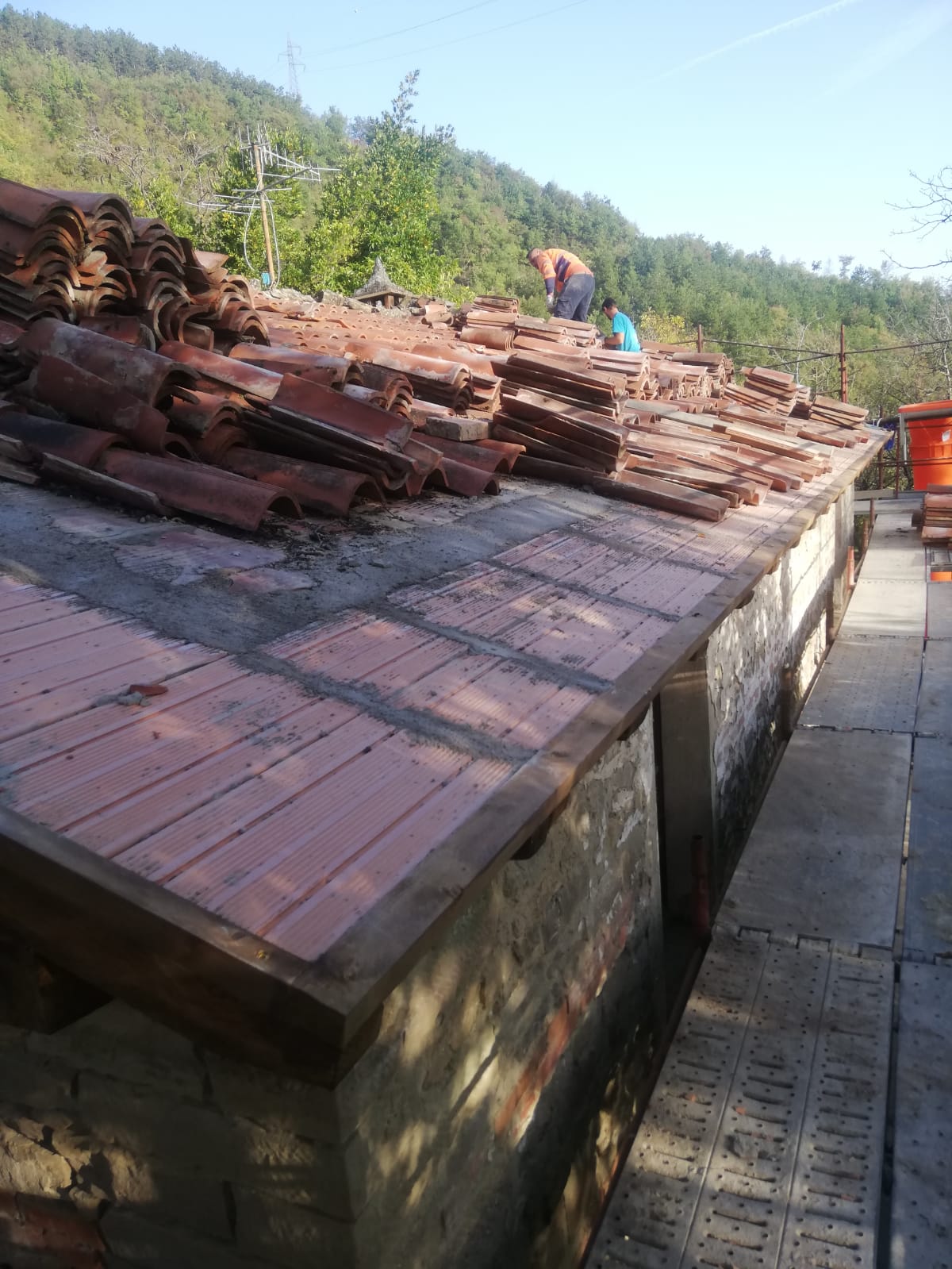 IMG-20241022-WA0101